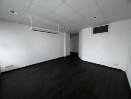 ATTRAKTIVE GESCHÄFTSFLÄCHE  -  ZENTRUM VON WELS